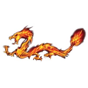 Dragon Fireworks